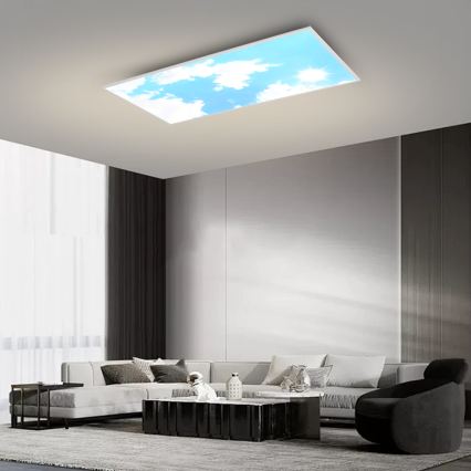 Brilagi - LED stmievateľné stropné svietidlo SLIMFRAME SKY LED/80W/230V 120x60 cm 3000-6000K strieborné/modré + diaľkové ovládanie