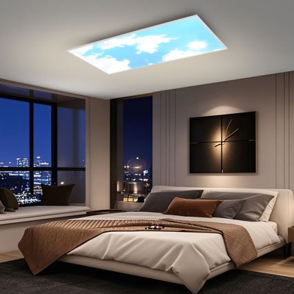 Brilagi - LED stmievateľné stropné svietidlo SLIMFRAME SKY LED/80W/230V 120x60 cm 3000-6000K strieborné/modré + diaľkové ovládanie