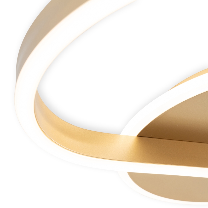 Brilagi - LED Stmievateľné stropné svietidlo SPIRAL LED/56W/230V pr. 50 cm 3000/4000/6000K + diaľkové ovládanie