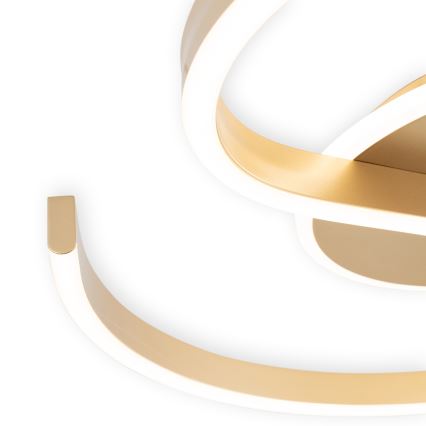 Brilagi - LED Stmievateľné stropné svietidlo SPIRAL LED/56W/230V pr. 50 cm 3000/4000/6000K + diaľkové ovládanie