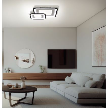 Brilagi - LED Stmievateľné stropné svietidlo TANDORA LED/49W/230V 3000/4000/6000K + diaľkové ovládanie
