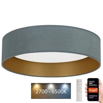 Brilagi - LED Stmievateľné stropné svietidlo VELVET SMART LED/36W/230V pr. 55 cm 2700-6500K Wi-Fi Tuya mintová/zlatá + diaľkové ovládanie