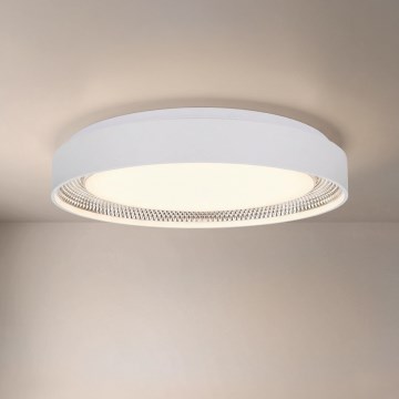 Brilagi - LED stmievateľné stropné svietidlo WALDO LED/48W/230V 3000-6500K pr. 40 cm biela/strieborná + diaľkové ovládanie
