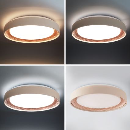 Brilagi - LED stmievateľné stropné svietidlo WALDO LED/48W/230V 3000-6500K pr. 40 cm béžová/zlatá + diaľkové ovládanie