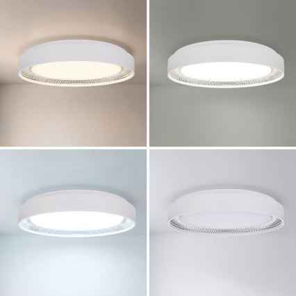 Brilagi - LED stmievateľné stropné svietidlo WALDO LED/48W/230V 3000-6500K pr. 40 cm biela/strieborná + diaľkové ovládanie