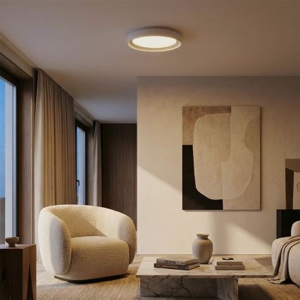 Brilagi - LED stmievateľné stropné svietidlo WALDO LED/48W/230V 3000-6500K pr. 40 cm biela/strieborná + diaľkové ovládanie