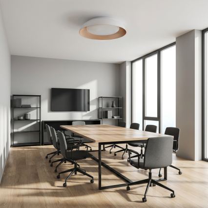 Brilagi - LED stmievateľné stropné svietidlo ALVA LED/48W/230V 3000-6500K priemer 51 cm biela + diaľkové ovládanie