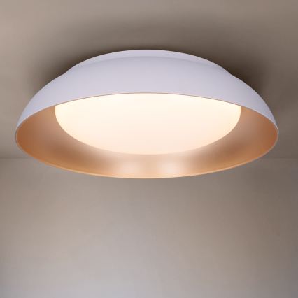 Brilagi - LED stmievateľné stropné svietidlo ALVA LED/48W/230V 3000-6500K priemer 51 cm biela + diaľkové ovládanie