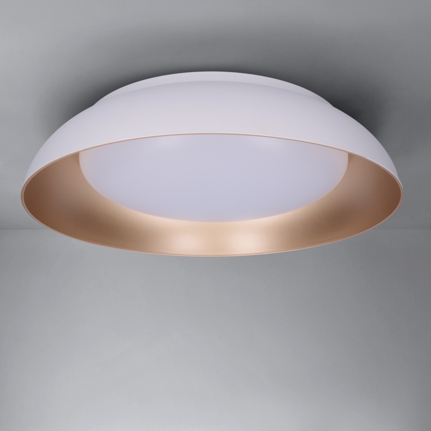 Brilagi - LED stmievateľné stropné svietidlo ALVA LED/48W/230V 3000-6500K priemer 51 cm biela + diaľkové ovládanie