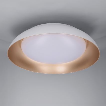 Brilagi - LED stmievateľné stropné svietidlo ALVA LED/48W/230V 3000-6500K priemer 51 cm biela + diaľkové ovládanie