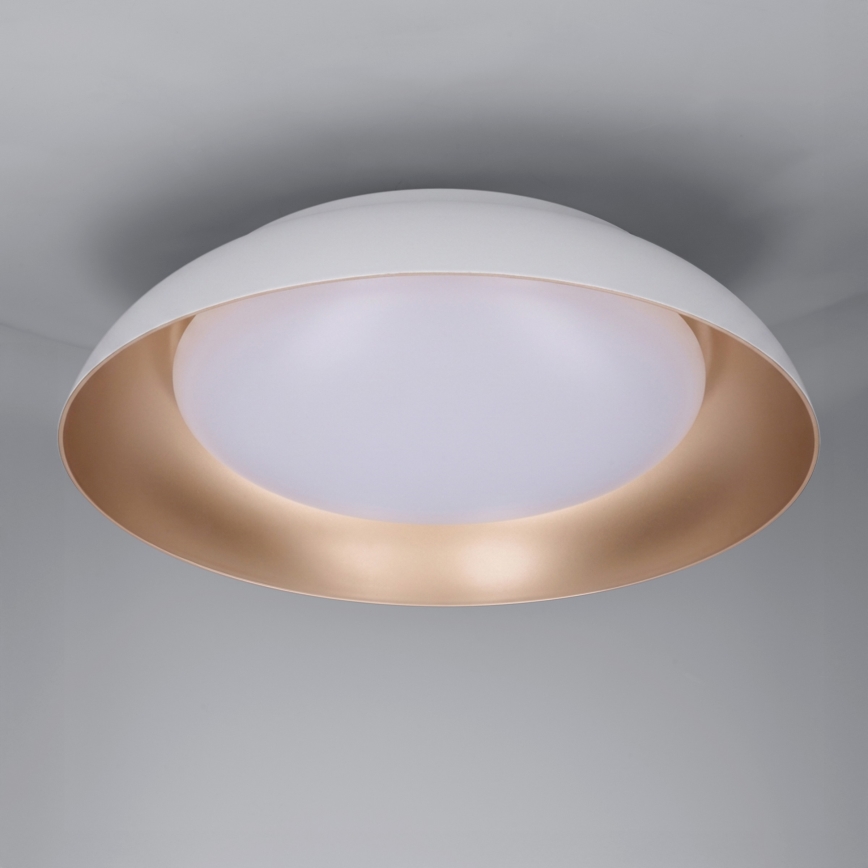 Brilagi - LED stmievateľné stropné svietidlo ALVA LED/48W/230V 3000-6500K priemer 51 cm biela + diaľkové ovládanie
