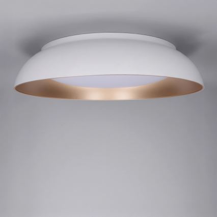 Brilagi - LED stmievateľné stropné svietidlo ALVA LED/48W/230V 3000-6500K priemer 51 cm biela + diaľkové ovládanie