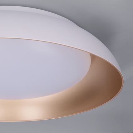 Brilagi - LED stmievateľné stropné svietidlo ALVA LED/48W/230V 3000-6500K priemer 51 cm biela + diaľkové ovládanie