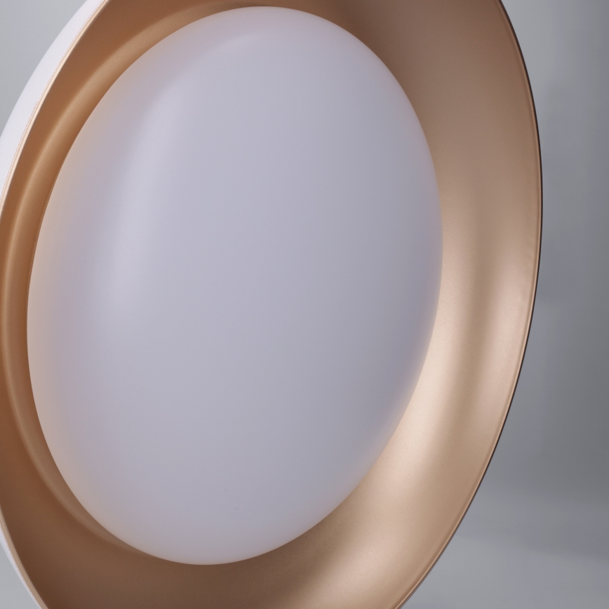 Brilagi - LED stmievateľné stropné svietidlo ALVA LED/48W/230V 3000-6500K priemer 51 cm biela + diaľkové ovládanie