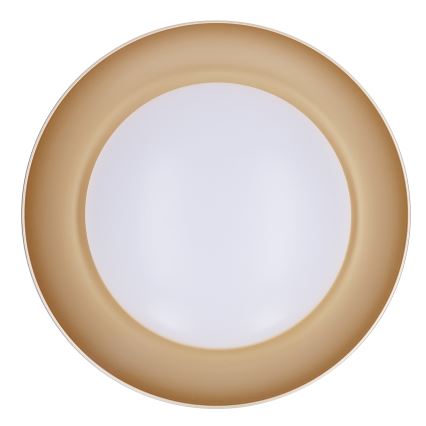 Brilagi - LED zatemnljivo stropno svetilo ALVA LED/48W/230V 3000-6500K pr. 51 cm bela + daljinski upravljalnik