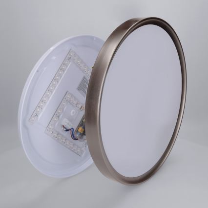 Brilagi - LED stmievateľné stropné svietidlo FANCIA LED/48W/230V 3000-6500K priemer 39 cm strieborné + diaľkové ovládanie