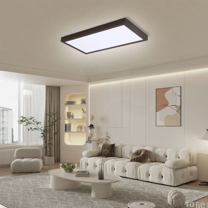 Brilagi - LED Stmievateľné kúpeľňové stropné svietidlo FRAME SMART LED/30W/230V 30x60 cm 3000-6000K IP44 čierna + diaľkové ovládanie