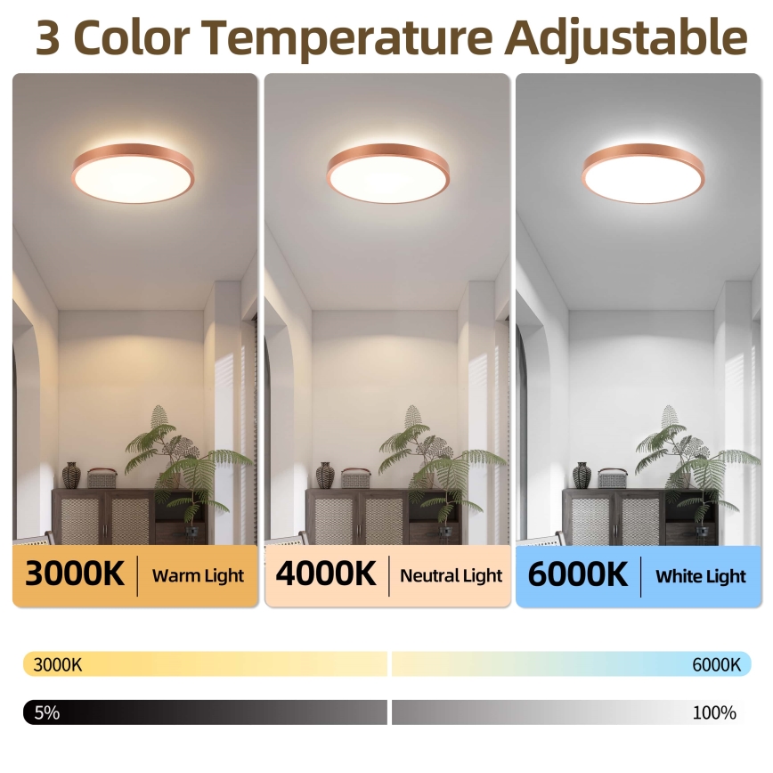 BRILAGI - LED stmievateľné stropné svietidlo GLASS POOL DOUBLE LED/48W/230V pr. 40 cm medené + diaľkové ovládanie