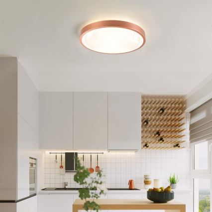 BRILAGI - LED stmievateľné stropné svietidlo GLASS POOL DOUBLE LED/48W/230V pr. 40 cm medené + diaľkové ovládanie
