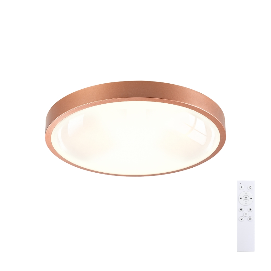 BRILAGI - LED stmievateľné stropné svietidlo GLASS POOL DOUBLE LED/48W/230V pr. 40 cm medené + diaľkové ovládanie