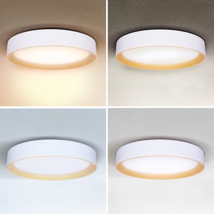 Brilagi - LED Stmievateľné stropné svietidlo LARIOS LED/48W/230V 3000-6500K ø 39 cm biela + diaľkové ovládanie
