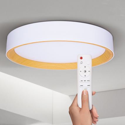 Brilagi - LED Stmievateľné stropné svietidlo LARIOS LED/48W/230V 3000-6500K ø 39 cm biela + diaľkové ovládanie