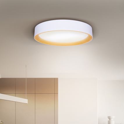 Brilagi - LED Stmievateľné stropné svietidlo LARIOS LED/48W/230V 3000-6500K ø 39 cm biela + diaľkové ovládanie