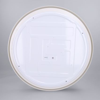 Brilagi - LED stmievateľné stropné svietidlo MATTEO LED/60W/230V 3000-6500K priemer 51,5 cm taupe + diaľkové ovládanie