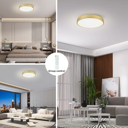 Brilagi - LED stmievateľné stropné svietidlo POOL LED/60W/230V 3000-6000K priemer 60 cm zlaté + diaľkové ovládanie