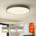 Brilagi - LED stmievateľné svietidlo POOL SMART LED/100W/230V pr. 80 cm 3000-6000K Wi-Fi Tuya + diaľkové ovládanie zelené