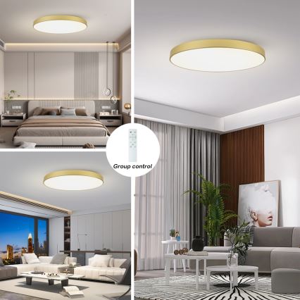 Brilagi - LED stmievaľné stropné svietidlo POOL SMART LED/128W/230V 3000-6000K 100 cm zlaté Wi-Fi Tuya + diaľkové ovládanie
