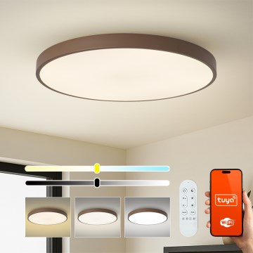 Brilagi - LED stmievateľné svietidlo POOL SMART LED/128W/230V pr. 100 cm 3000-6000K Wi-Fi Tuya + diaľkové ovládanie hnedá