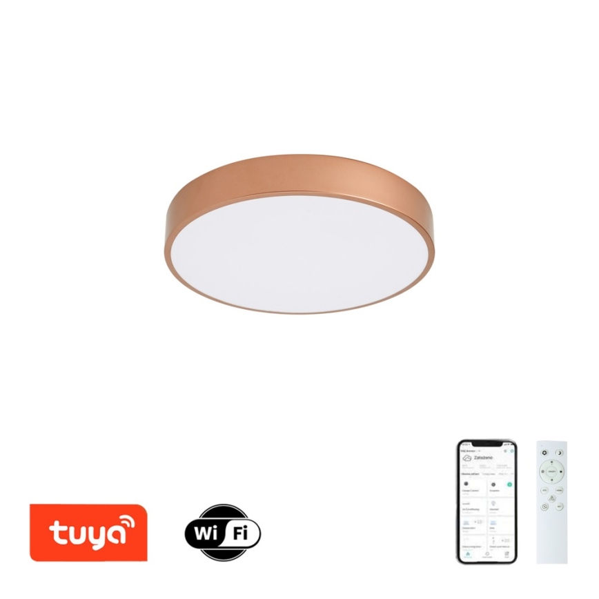 BRILAGI - LED Stmievateľné stropné svietidlo POOL SMART LED/48W/230V 3000-6000K pr. 40 cm Wi-Fi Tuya medené + diaľkové ovládanie