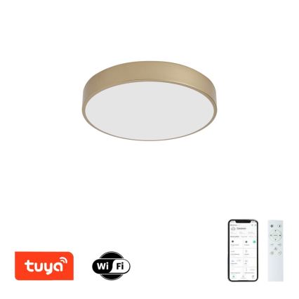 BRILAGI - stmievateľné LED stropné svietidlo POOL SMART LED/48W/230V 3000-6000K pr. 40 cm Wi-Fi Tuya zlaté + diaľkové ovládanie