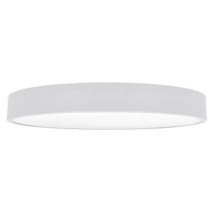 Brilagi - LED Stmievateľné stropné svietidlo POOL SMART LED/60W/230V 3000-6000K 50 cm + diaľkové ovládanie biela