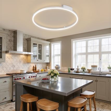 Brilagi - LED stmievateľné stropné svietidlo PORTOFINO LED/60W/230V 3000-6000 K priemer 80 cm strieborné + diaľkové ovládanie