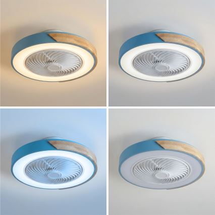 Brilagi - LED stmievateľné stropné svietidlo s ventilátorom LED/38W/230V 3000-6500K 3000-6500K priemer 50 cm modrá/dub + diaľkové ovládanie