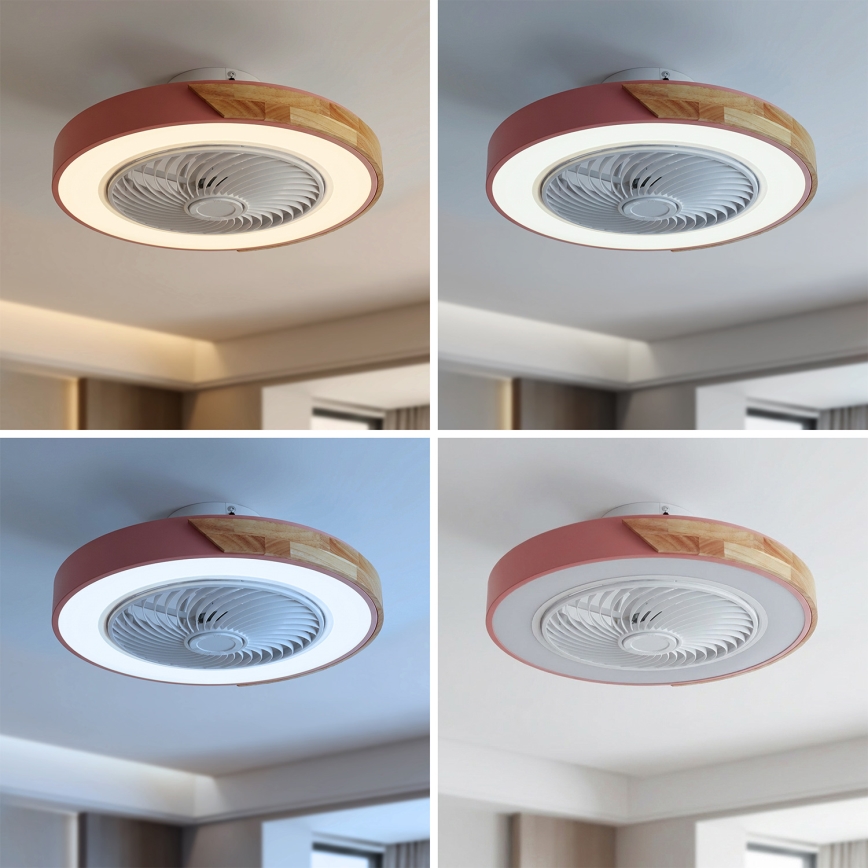 Brilagi - stmievateľné LED stropné svietidlo s ventilátorom LED/38W/230V 3000-6500K 3000-6500K pr. 50 cm ružová/dub + diaľkové ovládanie
