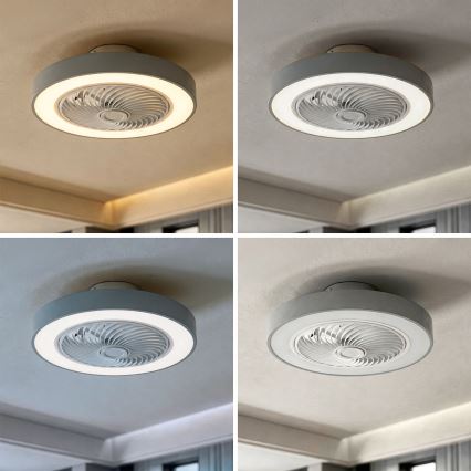 Brilagi - LED stmievateľné stropné svietidlo s ventilátorom LED/38W/230V 3000-6500K 3000-6500K pr. 50 cm sivá + diaľkové ovládanie