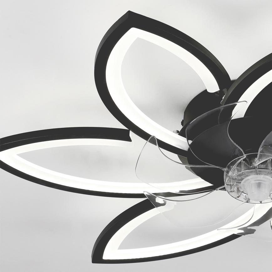 Brilagi - LED stmievateľné stropné svietidlo s ventilátorom LED/50W/230V 3000-6500K čierna + diaľkové ovládanie