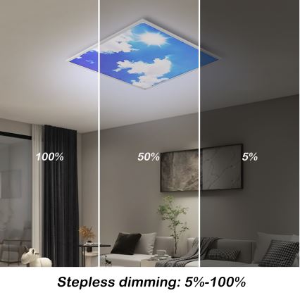 Brilagi - LED stmievateľné stropné svietidlo SLIMFRAME SKY LED/58W/230V 60x60 cm 3000-6000K strieborná/modrá + diaľkové ovládanie