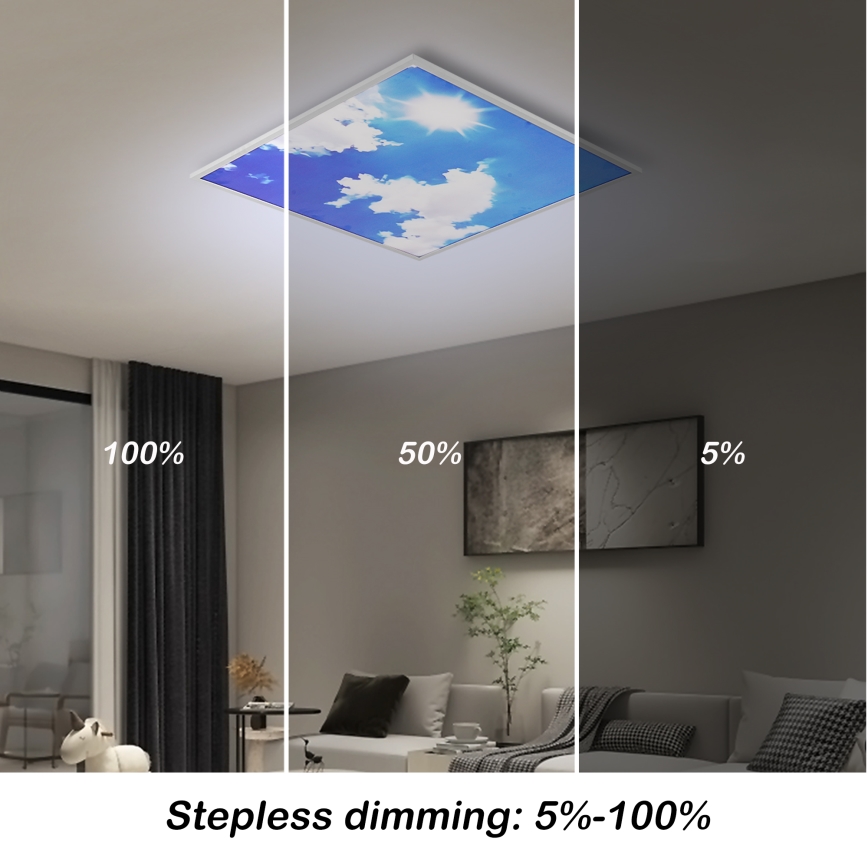 Brilagi - LED stmievateľné stropné svietidlo SLIMFRAME SKY LED/58W/230V 60x60 cm 3000-6000K strieborná/modrá + diaľkové ovládanie