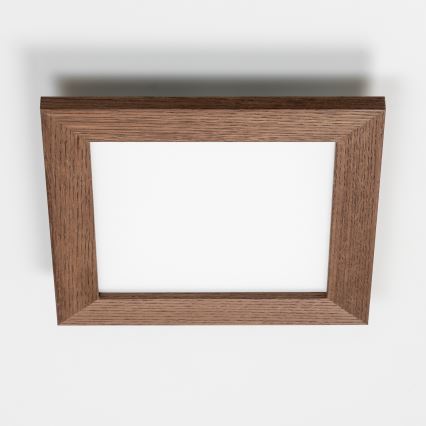 Brilagi - LED Stmievateľné stropné svietidlo SLIMFRAME WOOD LED/25W/230V 34x34 cm 3000-6000K tmavohnedá + diaľkové ovládanie