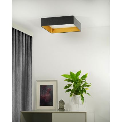 Brilagi - LED Stmievateľné stropné svietidlo VELVET SQUARE LED/24W/230V 3000/4000/6500K + diaľkové ovládanie šedá