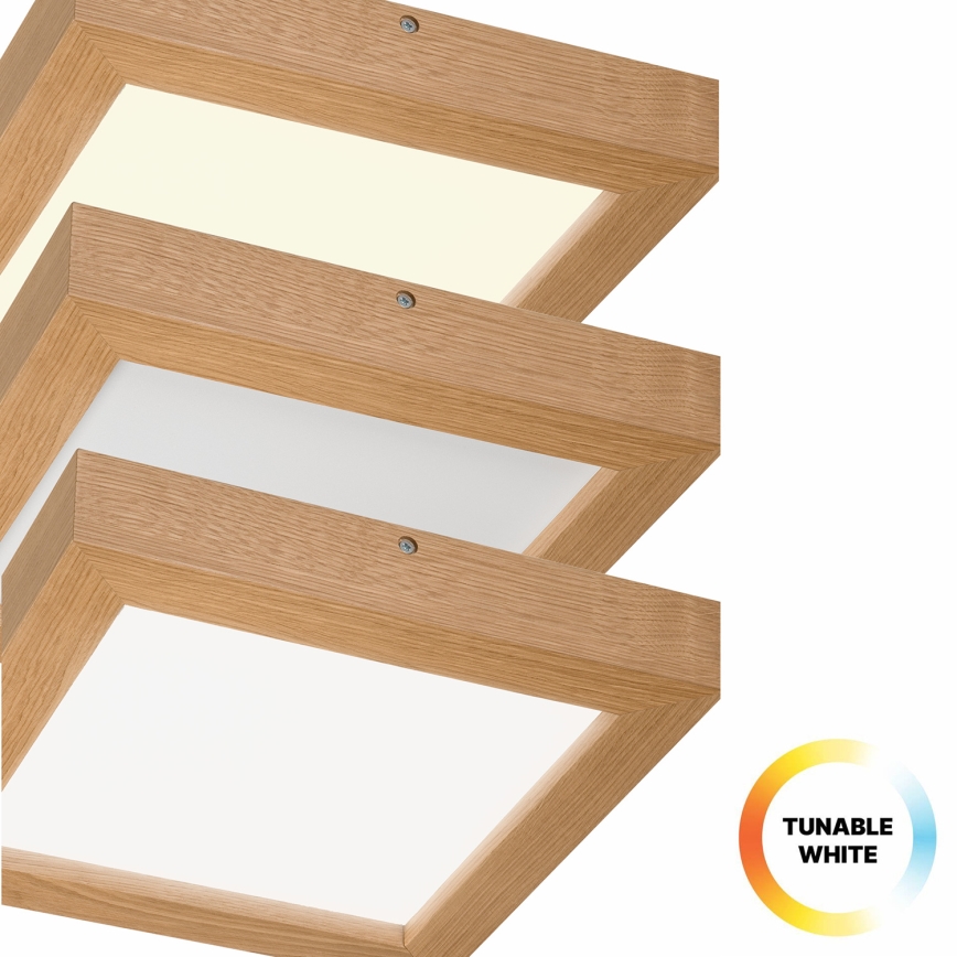 Brilagi - LED Stmievateľné kúpeľňové stropné svietidlo WOODY FRAME LED/24W/230V dub 30x30 cm 3000-6000K IP44 + diaľkové ovládanie
