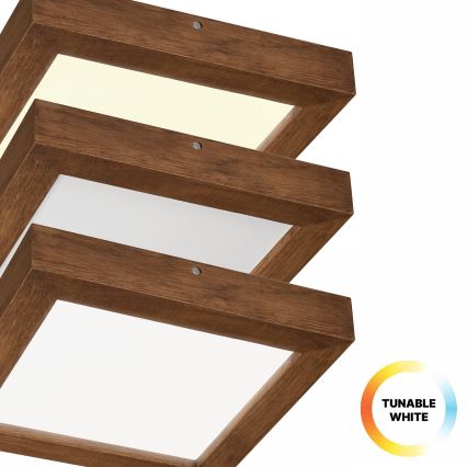 Brilagi - LED Stmievateľné kúpeľňové stropné svietidlo WOODY FRAME LED/24W/230V dub čerešňa 30x30 cm 3000-6000K IP44 + diaľkové ovládanie