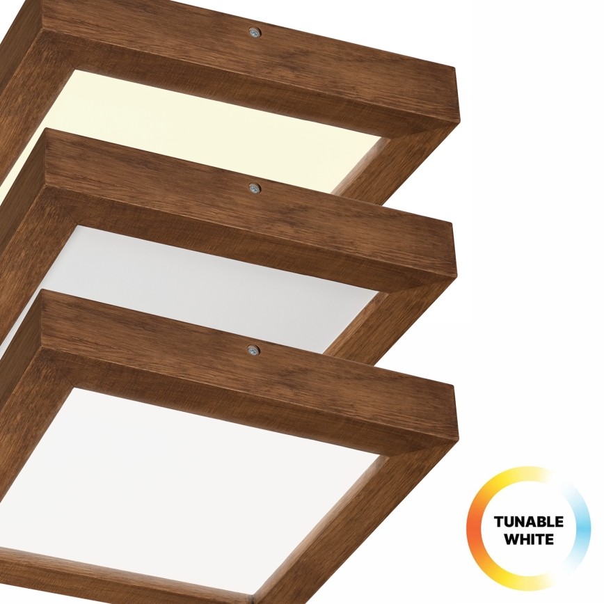 Brilagi - LED Stmievateľné kúpeľňové stropné svietidlo WOODY FRAME LED/24W/230V dub čerešňa 30x30 cm 3000-6000K IP44 + diaľkové ovládanie