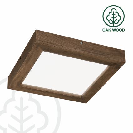 Brilagi - LED Stmievateľné kúpeľňové stropné svietidlo WOODY FRAME LED/24W/230V dub 30x30 cm 3000-6000K IP44 + diaľkové ovládanie
