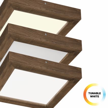 Brilagi - LED Stmievateľné kúpeľňové stropné svietidlo WOODY FRAME LED/24W/230V dub 30x30 cm 3000-6000K IP44 + diaľkové ovládanie