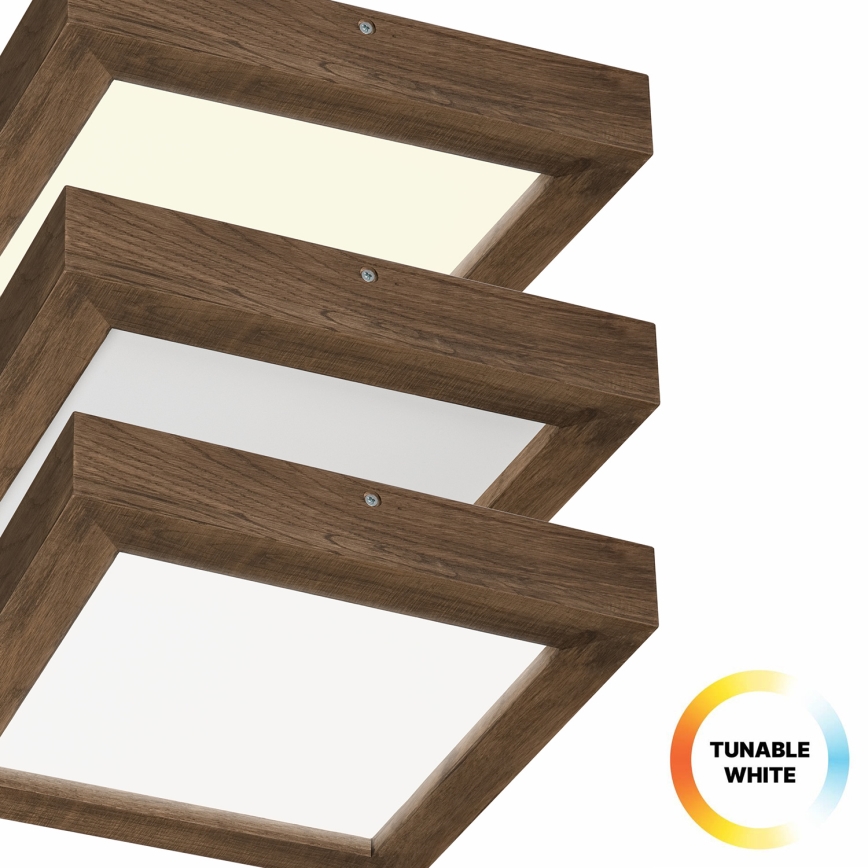 Brilagi - LED Stmievateľné kúpeľňové stropné svietidlo WOODY FRAME LED/24W/230V dub 30x30 cm 3000-6000K IP44 + diaľkové ovládanie